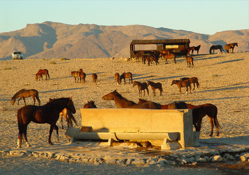 Klein-Aus Vista Desert Horse Inn المظهر الخارجي الصورة